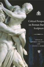 Critical Perspectives on Roman Baroque Sculpture