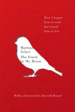 The Finch in My Brain af Martino Sclavi