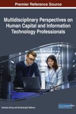 Multidisciplinary Perspectives on Human Capital and Information Technology Professionals
