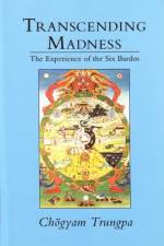 Transcending Madness af C Trungpa