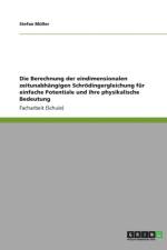 Berechnung der eindimensionalen zeitunabhangigen Schroedingergleichung fur einfache Potentiale und ihre physikalische Bedeutung af Stefan Muller