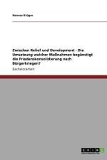 Zwischen Relief und Development - Die Umsetzung welcher Massnahmen begunstigt die Friedenskonsolidierung nach Burgerkriegen? af Hannes Kruger