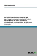 Gesundheitsfoerderlicher Umgang mit Beschaftigten eines privatwirtschaftlichen Unternehmens in Zeiten des Change Managements am Beispiel der Salutogenese af Sebastian Weissschnur
