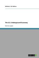 U.S. Underground Economy af Raffaela C M Wallner