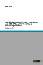 Abbildung von Geschafts- oder Firmenwerten nach HGB, IFRS und IFRS for SME und Entwicklungstendenzen af Oliver Liefke