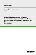 How do such social factors as gender, racial/ethnic backgrounds and social class relate to juvenile delinquency in Trinidad and Tobago? af Stacy Ramdhan