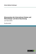 Bilanzanalyse der Unternehmen Polytec und Wienerberger und deren Beurteilung af Stefan Mathias Pomberger