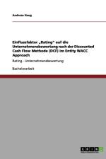 Einflussfaktor 