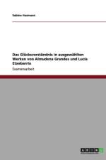 Das Glucksverstandnis in Ausgewahlten Werken Von Almudena Grandes Und Lucia Etxebarria af Sabine Husmann