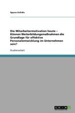 Die Mitarbeitermotivation heute - Koennen Weiterbildungsmassnahmen die Grundlage fur effektive Personalentwicklung im Unternehmen sein? af Spyros Kellidis