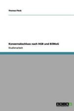 Konzernabschluss nach HGB und BilMoG af Thomas (Xavier University) Fleck