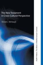 New Testament in Cross-Cultural Perspective af Richard L Rohrbaugh