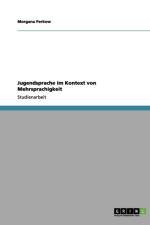 Jugendsprache im Kontext von Mehrsprachigkeit af Morgana Perkow