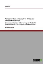 Fantasiewelten bei Juan Jose Millas und Carmen Martin Gaite af Ida Blick