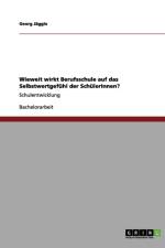 Wieweit wirkt Berufsschule auf das Selbstwertgefuhl der SchulerInnen? af Georg Jaggle