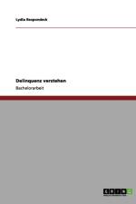 Delinquenz verstehen af Lydia Respondeck