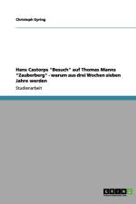 Hans Castorps Besuch Auf Thomas Manns Zauberberg - Warum Aus Drei Wochen Sieben Jahre Werden af Christoph Eyring