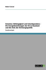 Zwischen Abhangigkeit und Interdependenz - Die Energiebeziehungen der EU zu Russland und die Ziele der EU-Energiepolitik af Robert Conrad