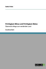 Privilegium Minus und Privilegium Maius af Saskia Fricke