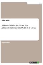 Bilanzrechtliche Probleme des Jahresabschlusses einer GmbH & Co KG af Lukas Hechl