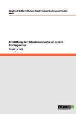 Ermittlung Der Schadensursache an Einem Stirlingmotor af Siegfried Hotter