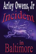 Incident in Baltimore af Arley Owens Jr