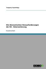 oekonomischen Herausforderungen der EU - Osterweiterung af Yevgeniy Voytsitskyy