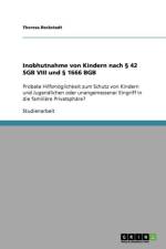 Inobhutnahme von Kindern nach 42 SGB VIII und 1666 BGB af Theresa Reckstadt