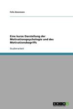 Eine Kurze Darstellung Der Motivationspsychologie Und Des Motivationsbegriffs af Felix Hessmann