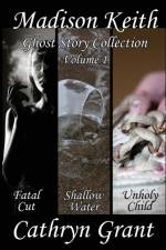 Madison Keith Ghost Story Collection- Volume 1 (Suburban Noir Ghost Stories) af Cathryn Grant
