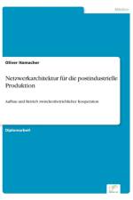 Netzwerkarchitektur fur die postindustrielle Produktion af Oliver Hamacher