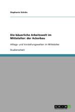 Die bauerliche Arbeitswelt im Mittelalter af Stephanie Schron