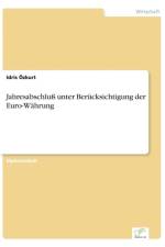 Jahresabschluss unter Berucksichtigung der Euro-Wahrung af Idris OEzkurt