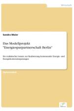 Modellprojekt Energiesparpartnerschaft Berlin af Sandra Maier