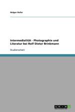 Intermedialitat - Photographie und Literatur bei Rolf Dieter Brinkmann af Holger Hufer