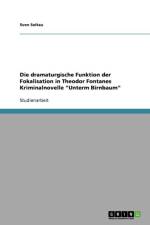 dramaturgische Funktion der Fokalisation in Theodor Fontanes Kriminalnovelle Unterm Birnbaum af Sven Soltau