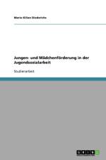 Jungen- Und Madchenforderung in Der Jugendsozialarbeit af Mario Kilian Diederichs