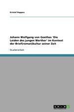 Johann Wolfgang Von Goethes 'Die Leiden Des Jungen Werther' Im Kontext Der Brief(roman)Kultur Seiner Zeit af Kristof Hoppen