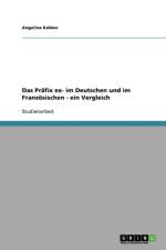 Pr fix Ex- Im Deutschen Und Im Franz sischen - Ein Vergleich af Angelina Kalden