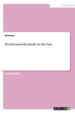 Hochwasserdynamik in der Aue af Anonym