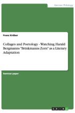 Collages and Poetology - Watching Harald Bergmanns 