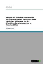 Analyse der aktuellen strukturellen sozio-oekonomischen Trends und deren moeglichen Wirkungen fur das oeffentliche Berufsschulwesen in Rheinland-Pfalz af Britta Buhl