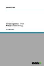 Schlusselprozess Einer Anasthesieabteilung af Matthias Schall