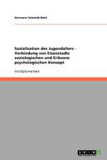 Sozialisation Des Jugendalters af Hermann Schmidt-Nohl