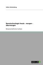 Nanotechnologie Heute - Morgen - Ubermorgen af Volker Halstenberg