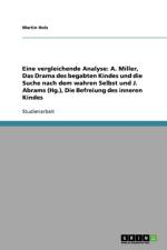 Eine vergleichende Analyse af Martin Holz