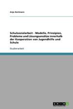 Schulsozialarbeit. Die Kooperation von Jugendhilfe und Schule af Anja Hartmann