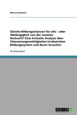 Gleiche Bildungschancen Fur Alle? Chancenungerechtigkeiten Im Deutschen Bildungssystem Und Deren Ursachen af Marcus Sommer