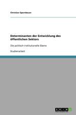 Determinanten Der Entwicklung Des Offentlichen Sektors af Christian Spernbauer