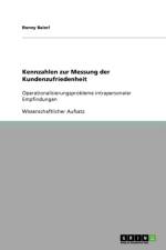 Kennzahlen zur Messung der Kundenzufriedenheit af Ronny Baierl